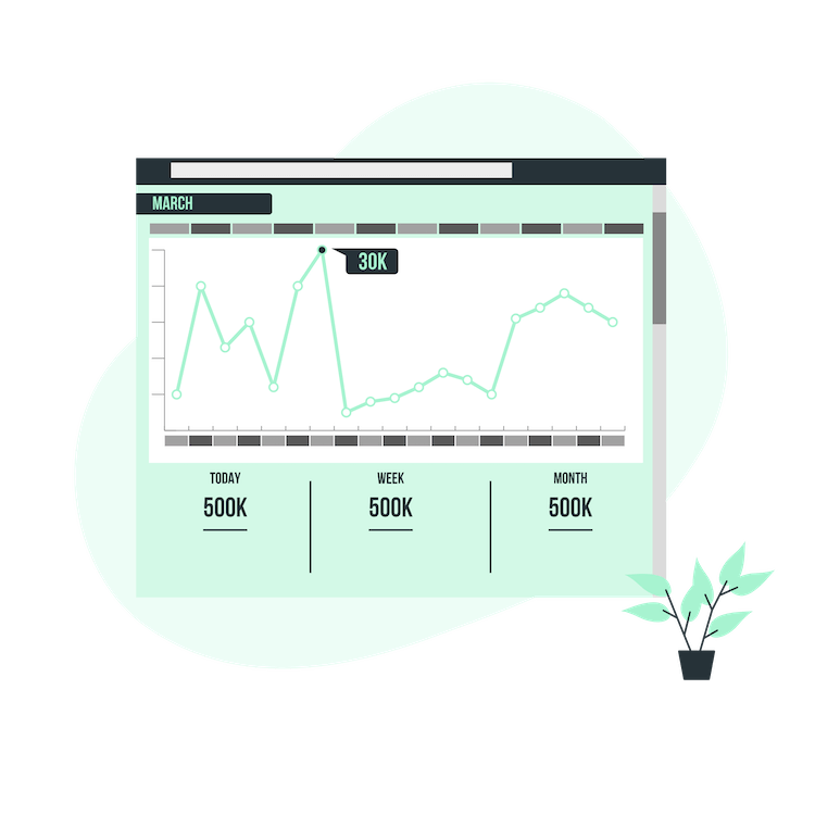 Web Analytics